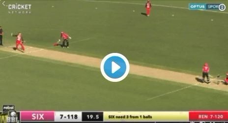 Melbourne Renegades nearly escape loss after celebration blunder! Melbourne Renegades nearly escape loss after celebration blunder!